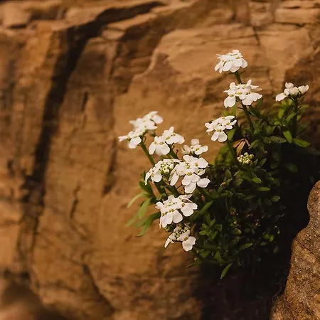 Klinec Plesivo Art דוברובו