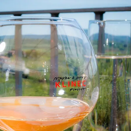 לינה וארוחת בוקר Klinec Plesivo Art דוברובו